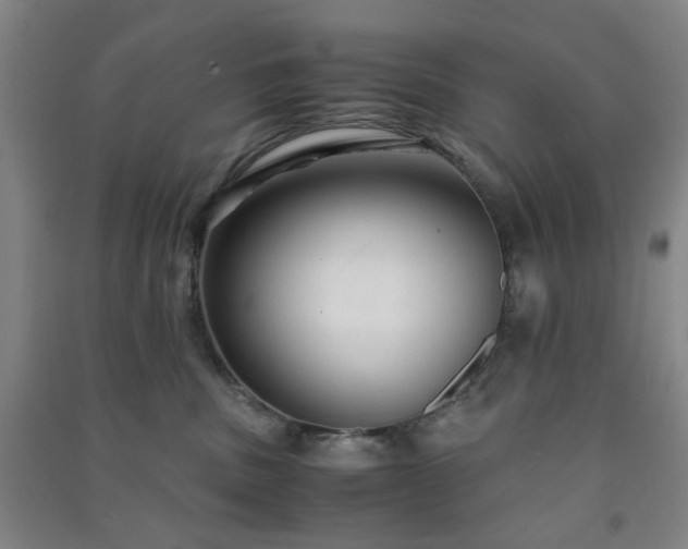 X0000091220379200708161701