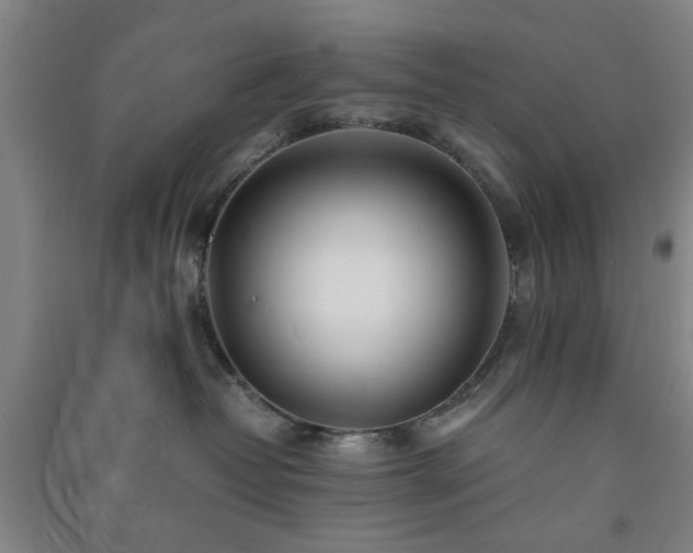 X0000091220382200708161701