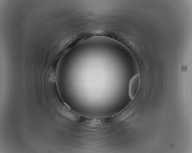 X0000091220384200708161701