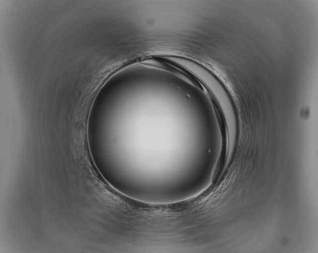 X0000091220385200708161701