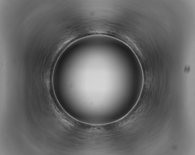 X0000091220386200708161701