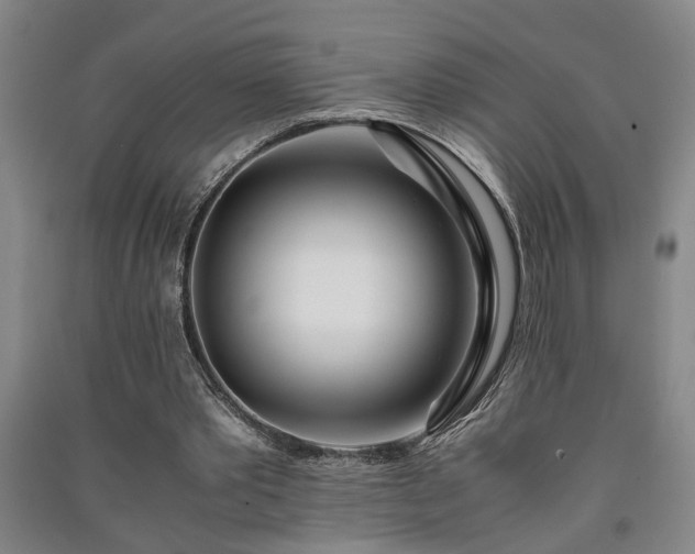 X0000091220389200708161701