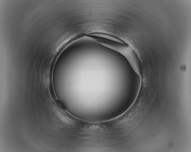 X0000091220390200708161701