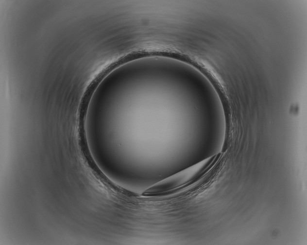 X0000091220391200708161701