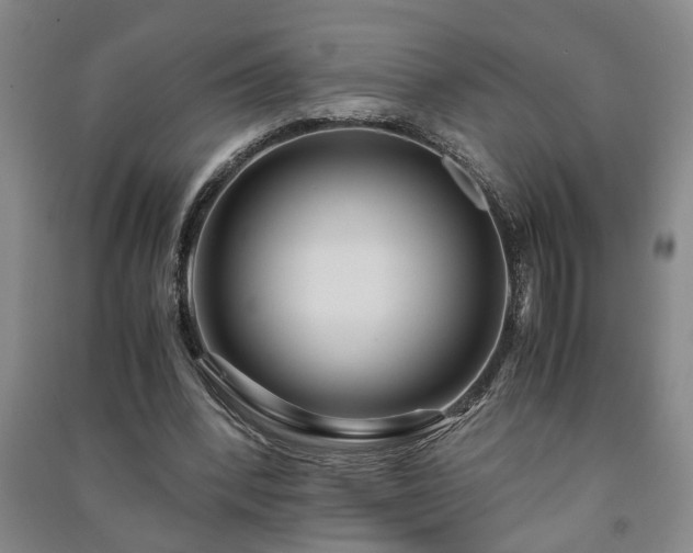 X0000091220392200708161701