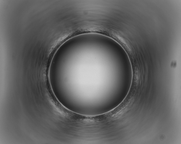 X0000091220394200708161701