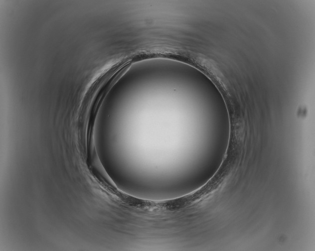 X0000091220395200708161701