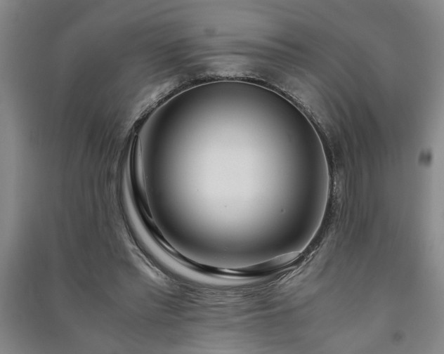 X0000091220397200708161701