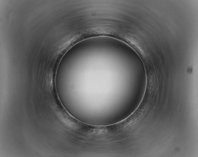 X0000091220398200708161700