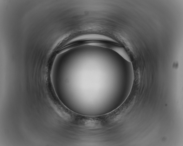 X0000091220400200708161700