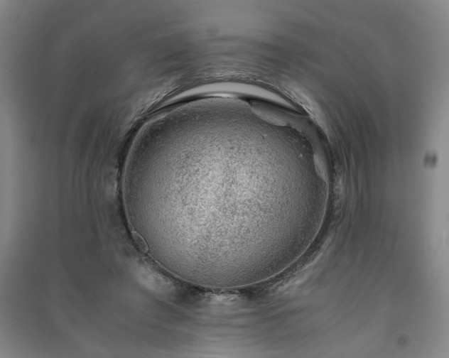 X0000091220401200708161700