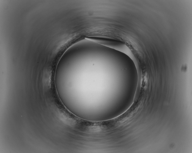 X0000091220404200708161700