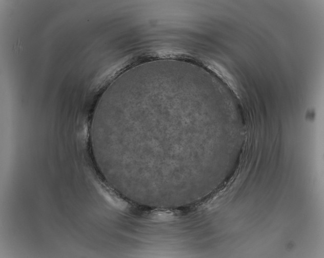 X0000091220405200708161700