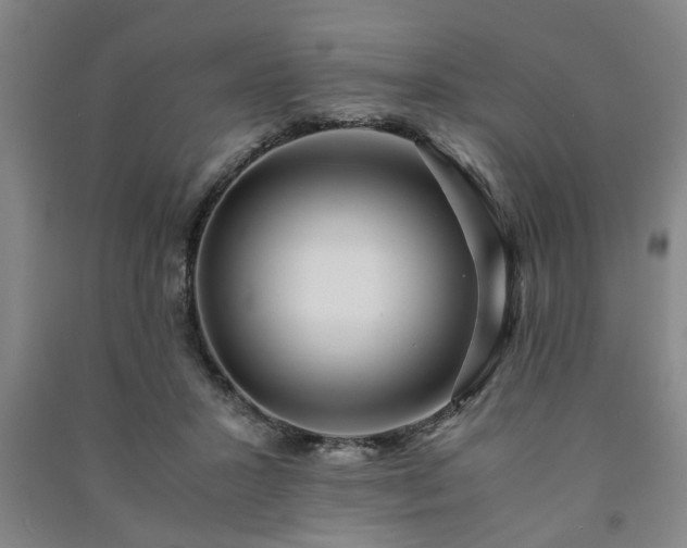 X0000091220407200708161700