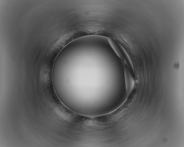 X0000091220408200708161700