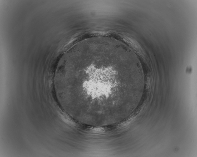 X0000091220409200708161700