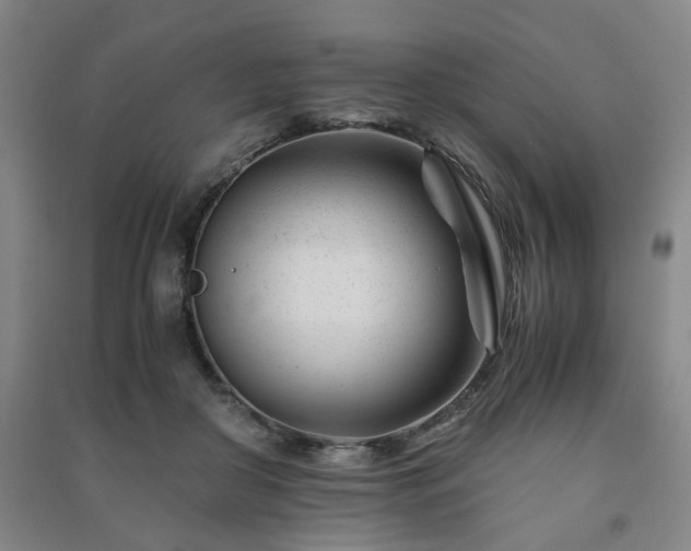 X0000091220410200708161700