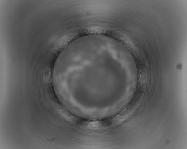 X0000091220411200708161700