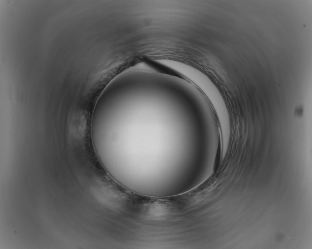 X0000091220412200708161700