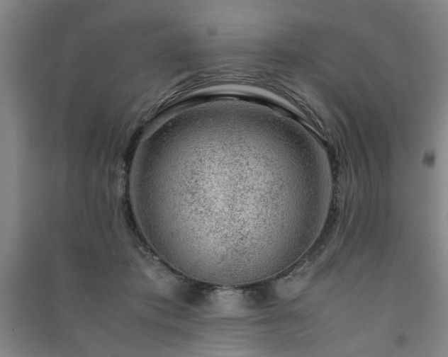 X0000091220413200708161700