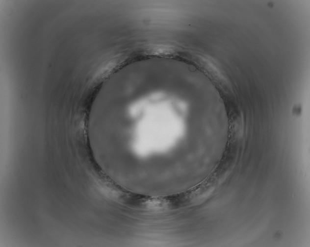 X0000091220415200708161700