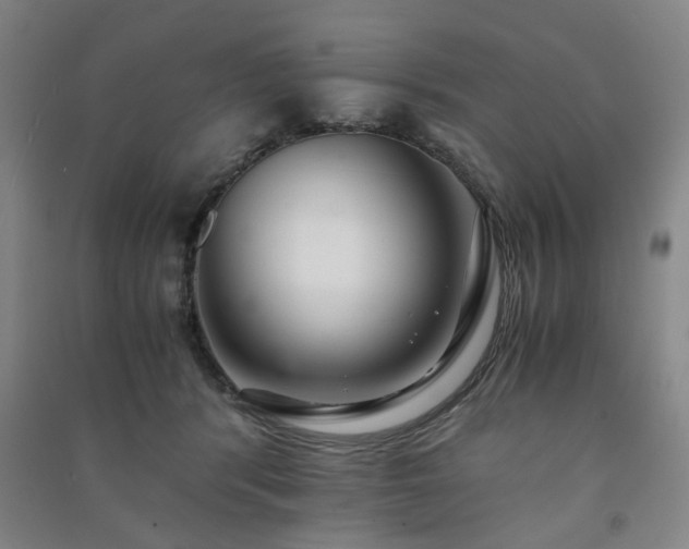 X0000091220416200708161700