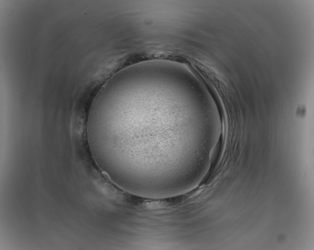 X0000091220417200708161700