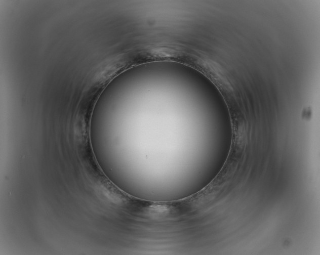 X0000091220418200708161700