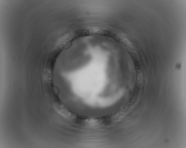 X0000091220419200708161700