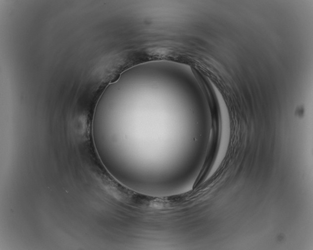 X0000091220420200708161700