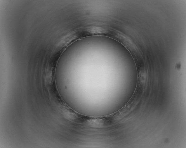 X0000091220422200708161700