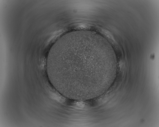 X0000091220423200708161700