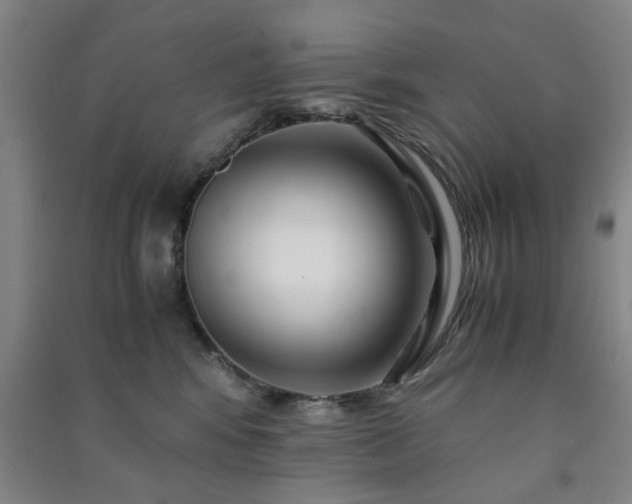 X0000091220424200708161700