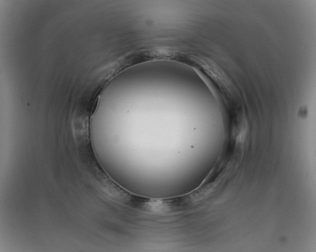 X0000091220425200708161700