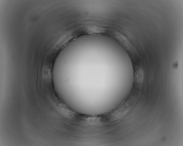 X0000091220426200708161700