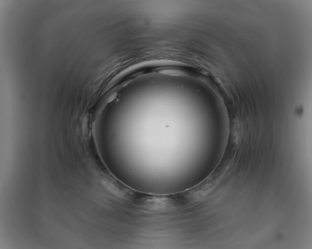 X0000091220428200708161700