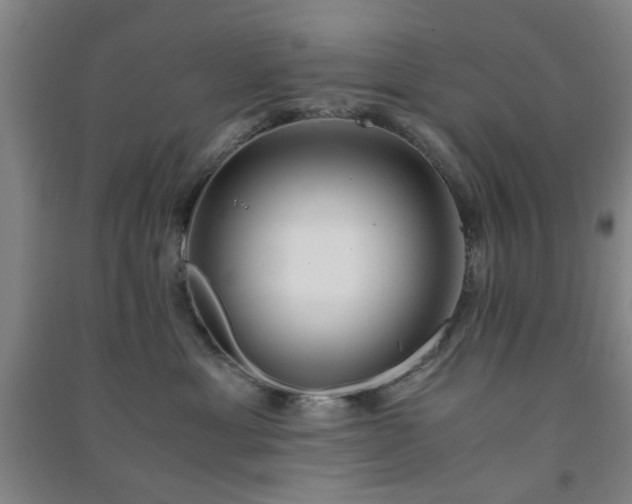 X0000091220429200708161700