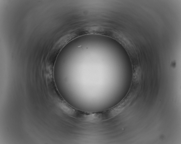 X0000091220430200708161700