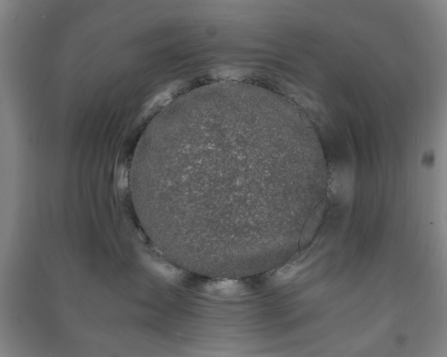 X0000091220431200708161700