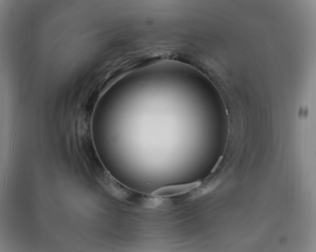 X0000091220432200708161700