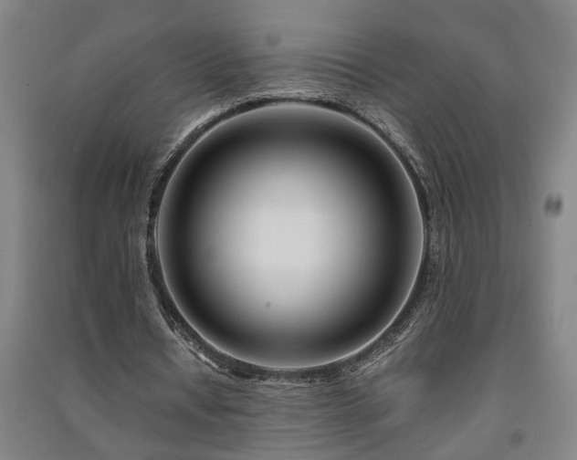 X0000091220434200708161659