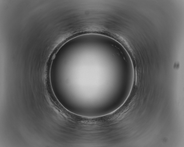 X0000091220435200708161659