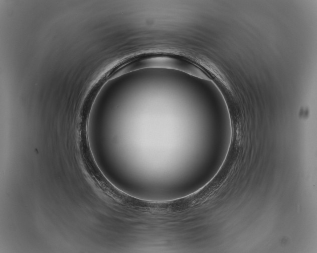 X0000091220436200708161700