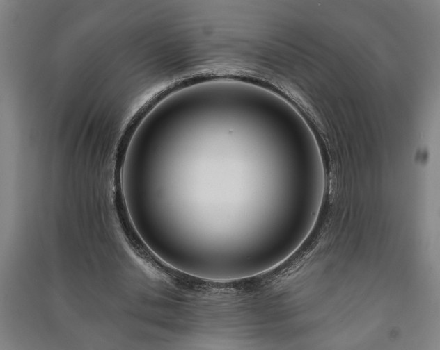 X0000091220438200708161700