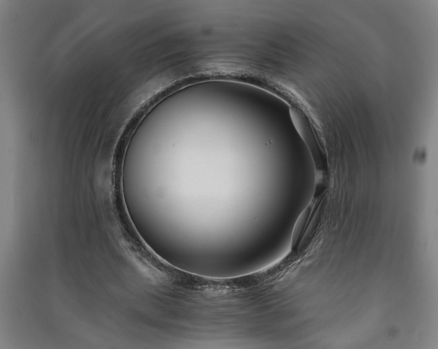 X0000091220439200708161700