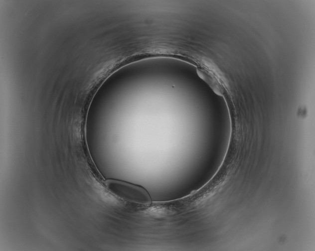 X0000091220441200708161700