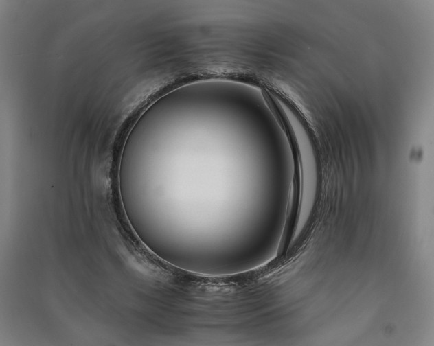 X0000091220443200708161700