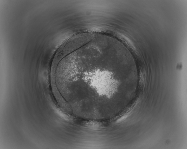 X0000091220444200708161700