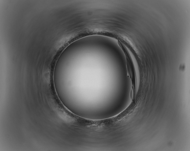 X0000091220447200708161700