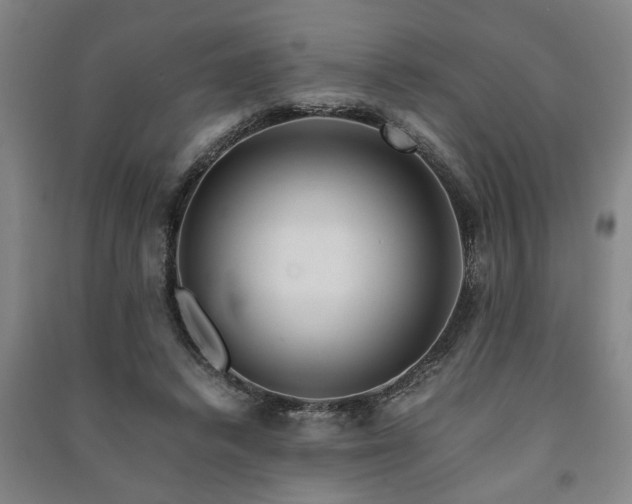 X0000091220448200708161700